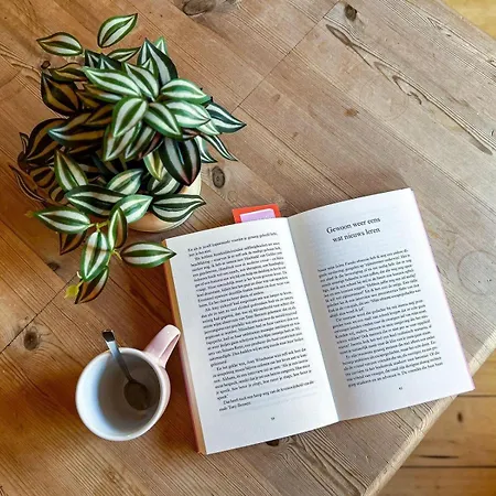 Haus Am Kreuzberg Holiday home *